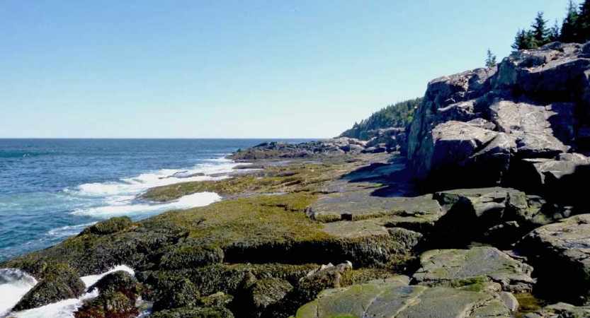 A rocky shore meets a blue ocean. 